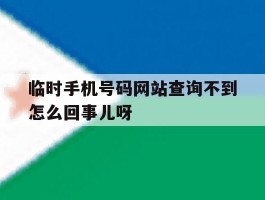 临时手机号码网站查询不到怎么回事儿呀的简单介绍