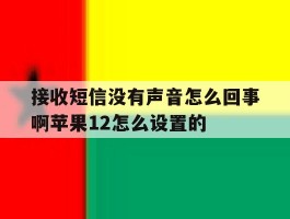 接收短信没有声音怎么回事啊苹果12怎么设置的