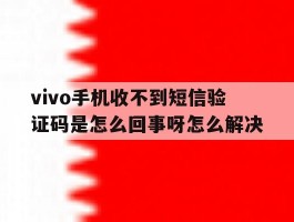 包含vivo手机收不到短信验证码是怎么回事呀怎么解决的词条