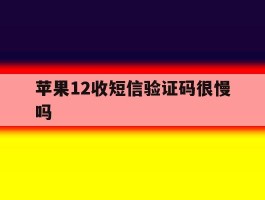 苹果12收短信验证码很慢吗