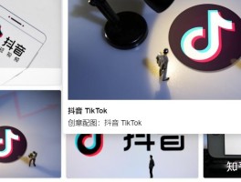 虚拟手机号码注册抖音安全吗是真的吗知乎的简单介绍
