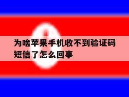 为啥苹果手机收不到验证码短信了怎么回事