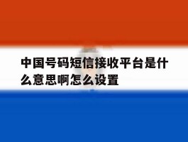 中国号码短信接收平台是什么意思啊怎么设置