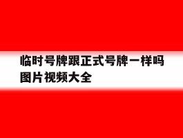 临时号牌跟正式号牌一样吗图片视频大全
