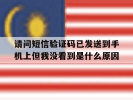 请问短信验证码已发送到手机上但我没看到是什么原因的简单介绍
