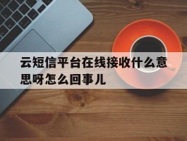 云短信平台在线接收什么意思呀怎么回事儿