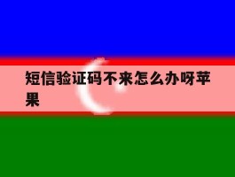 短信验证码不来怎么办呀苹果
