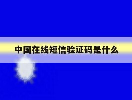 中国在线短信验证码是什么