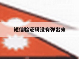 短信验证码没有弹出来