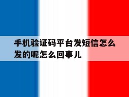 手机验证码平台发短信怎么发的呢怎么回事儿