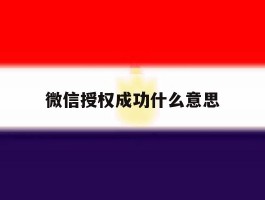 微信授权成功什么意思