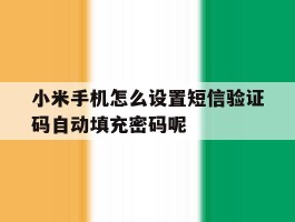小米手机怎么设置短信验证码自动填充密码呢的简单介绍