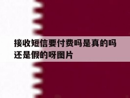 关于接收短信要付费吗是真的吗还是假的呀图片的信息