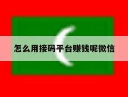 怎么用接码平台赚钱呢微信