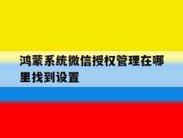 鸿蒙系统微信授权管理在哪里找到设置