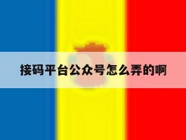 接码平台公众号怎么弄的啊