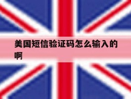 美国短信验证码怎么输入的啊