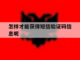 怎样才能获得短信验证码信息呢
