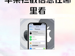 苹果手机怎么不接收短信消息提示呢视频播放