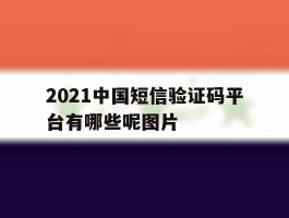 2021中国短信验证码平台有哪些呢图片