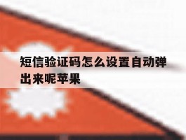 短信验证码怎么设置自动弹出来呢苹果