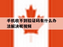手机收不到验证码有什么办法解决呢视频