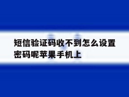 短信验证码收不到怎么设置密码呢苹果手机上
