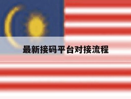 最新接码平台对接流程