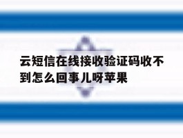 关于云短信在线接收验证码收不到怎么回事儿呀苹果的信息