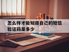 怎么样才能知道自己的短信验证码是多少