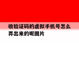 收验证码的虚拟手机号怎么弄出来的呢图片的简单介绍