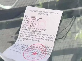 临时号牌违章停车开罚单吗怎么处罚的