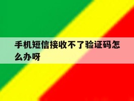 手机短信接收不了验证码怎么办呀