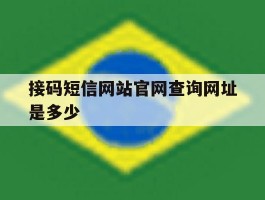 接码短信网站官网查询网址是多少