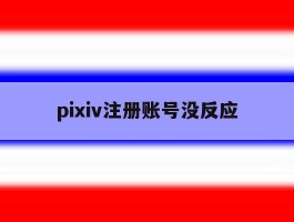 pixiv注册账号没反应