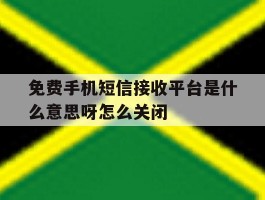 关于免费手机短信接收平台是什么意思呀怎么关闭的信息
