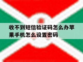 收不到短信验证码怎么办苹果手机怎么设置密码的简单介绍