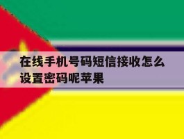 在线手机号码短信接收怎么设置密码呢苹果的简单介绍