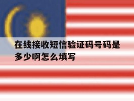 在线接收短信验证码号码是多少啊怎么填写