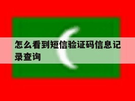 怎么看到短信验证码信息记录查询