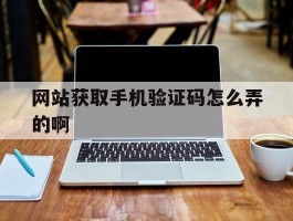 网站获取手机验证码怎么弄的啊