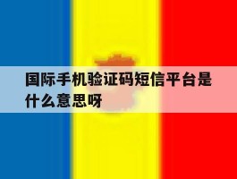 国际手机验证码短信平台是什么意思呀的简单介绍