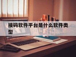接码软件平台是什么软件类型