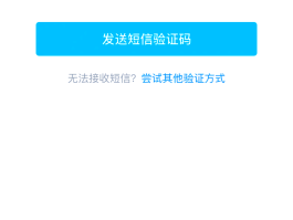 虚拟电话接收验证码平台是什么软件