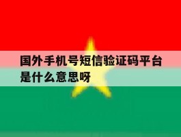 包含国外手机号短信验证码平台是什么意思呀的词条