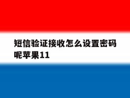 短信验证接收怎么设置密码呢苹果11