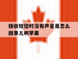 接收短信时没有声音是怎么回事儿啊苹果