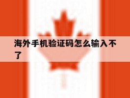 海外手机验证码怎么输入不了