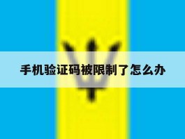手机验证码被限制了怎么办