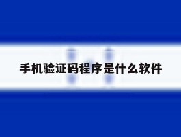 手机验证码程序是什么软件